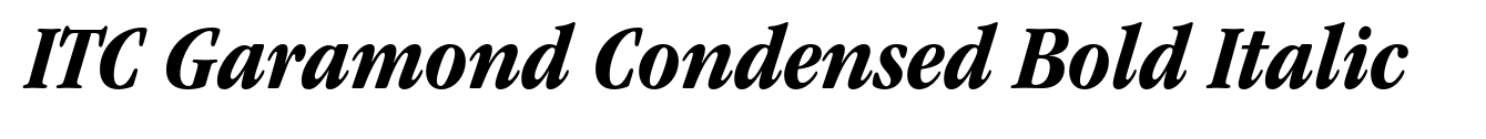 ITC Garamond Condensed Bold Italic image